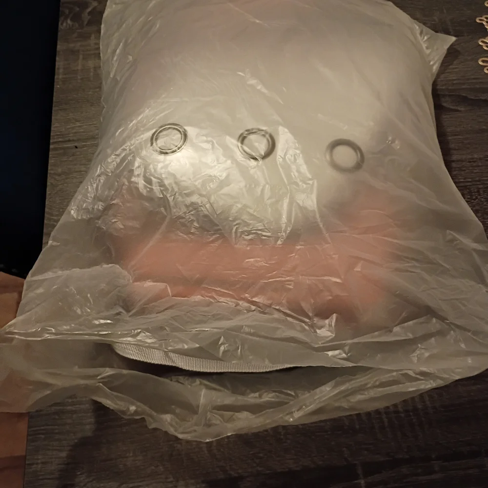 Transparent Pink Cat Carrier Backpack